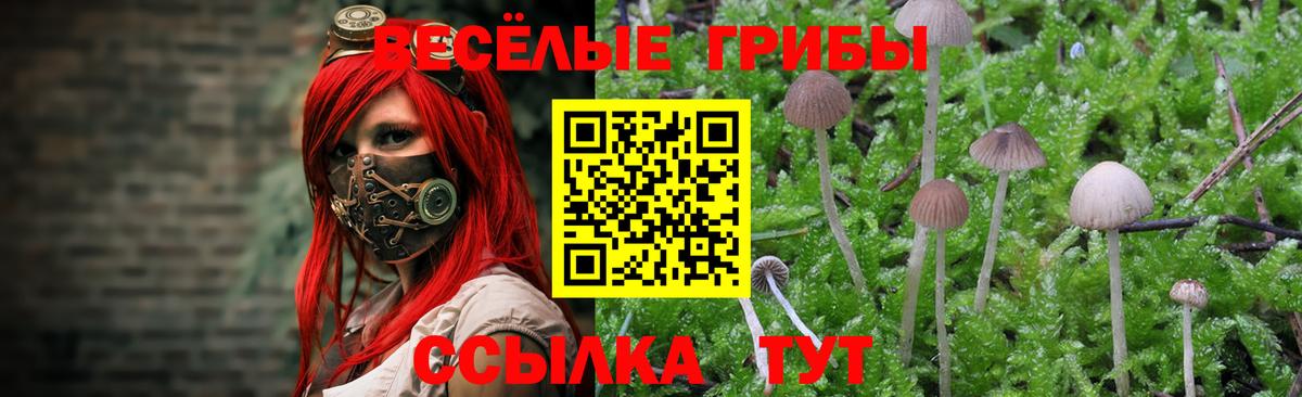 Санкт-Петербург  Кокаин  Cocaine  ГАШИШ  Вход с VPN  Меф МЯУ МЯУ   МАРИХУАНА  A-PVP СК кристаллы 